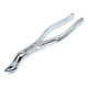 Tooth Extractor Forceps Extraction Dental Surgical Forceps Fig. 53L Upper Molar Adult Size 
