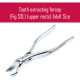 Tooth Extractor Forceps Extraction Dental Surgical Forceps Fig. 53L Upper Molar Adult Size 