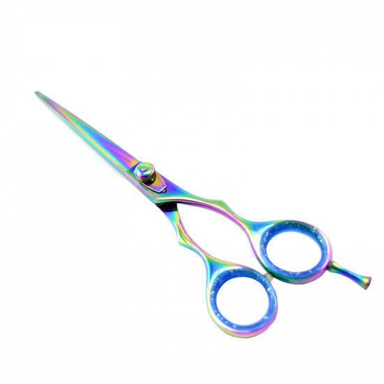 Salon Hairdressing Scissors Shears Styling Scissor Multi Color Scissor (Size 6'')