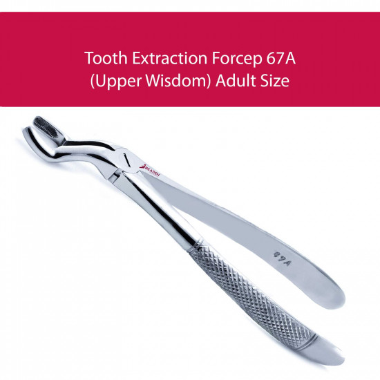 Tooth Extraction Surgical Forceps Upper Molar Wisdom Teeth Removal Fig.67A